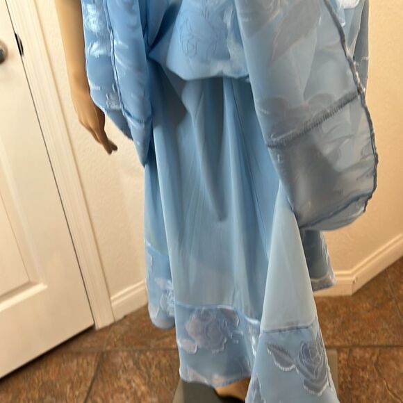 More Jazz Baby Blue  Dress Scoop Neck Short Sleeve Floral Appliqué Sheer Lined - Picture 8 of 9